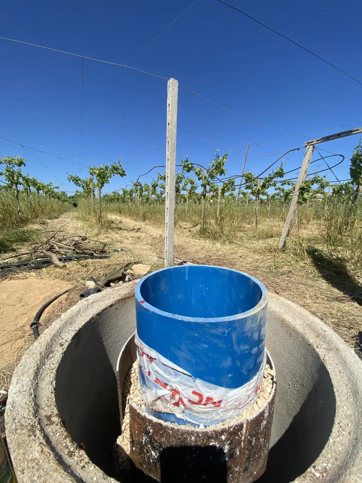 Pozzo con nuova tubazione e anelli. Vigneto in sottofondo.